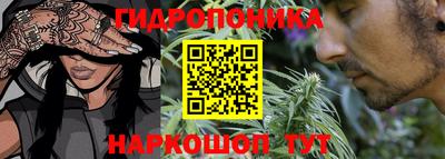 спиды Краснодар