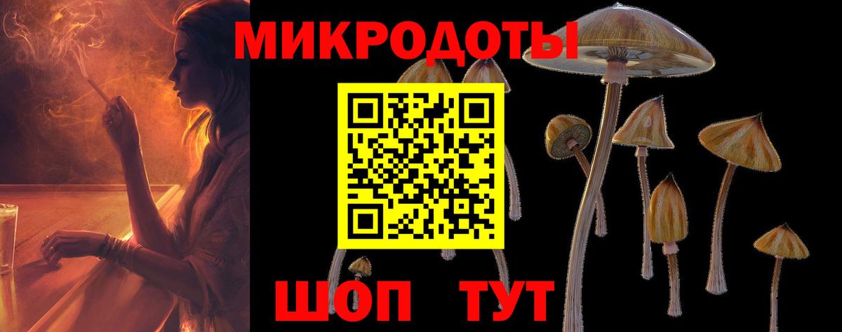что такое наркотик  Псилоцибиновые грибы GOLDEN TEACHER  Вход с VPN  Тверь 